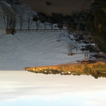 Mischa - Dagmersellen - Lucerne | Milf